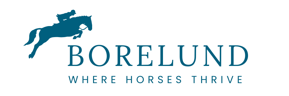 Logotype of Borelund Stables