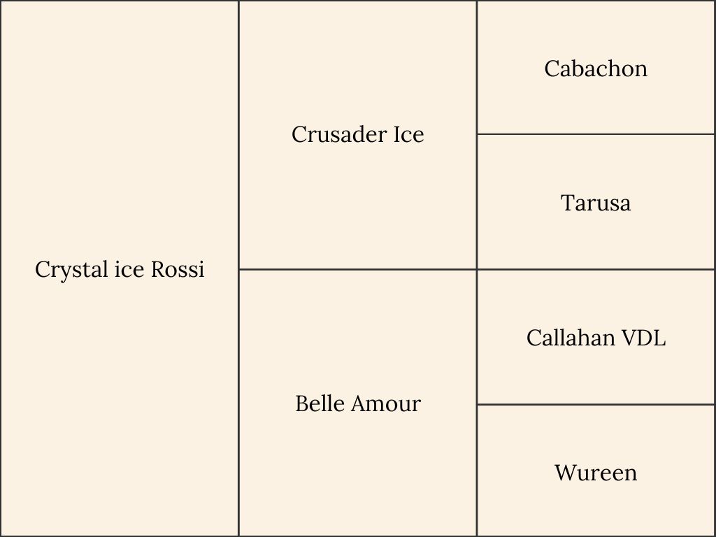 Pedigree of Limo Stables Horse Crystal Ice Rossi