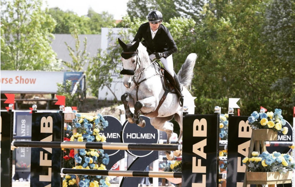 Image of our horse Qwerty Z with rider Carl-Walter Fox at Limo Stables