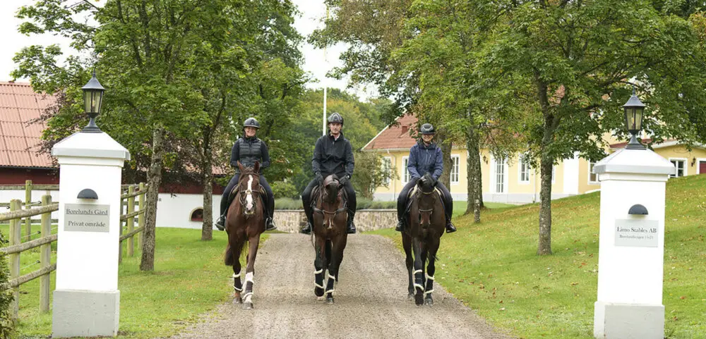 Portrait of riders Stephanie Holmén, Carl-Walter Fox, and Linn Bodmar from the visit of the equine magazine Ridsport