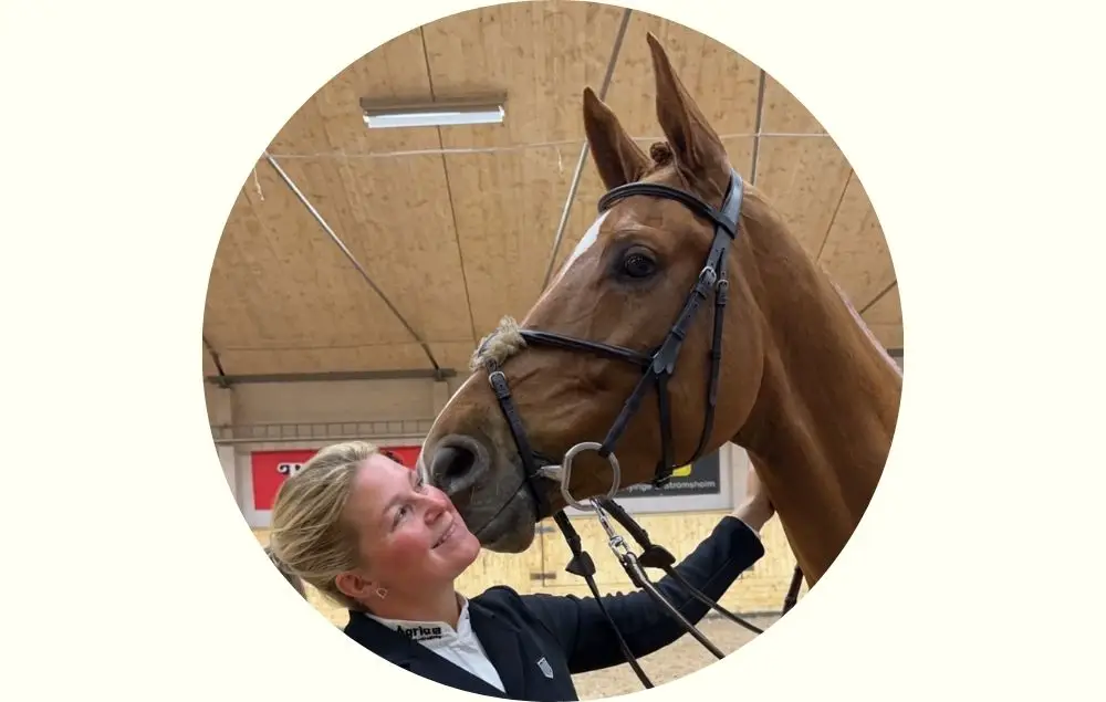 Picture of the horse Fudge from Holmen Showjumping