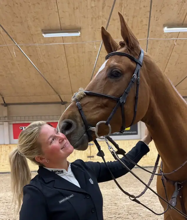 Image of the horse Fudge from Holmen Showjumping