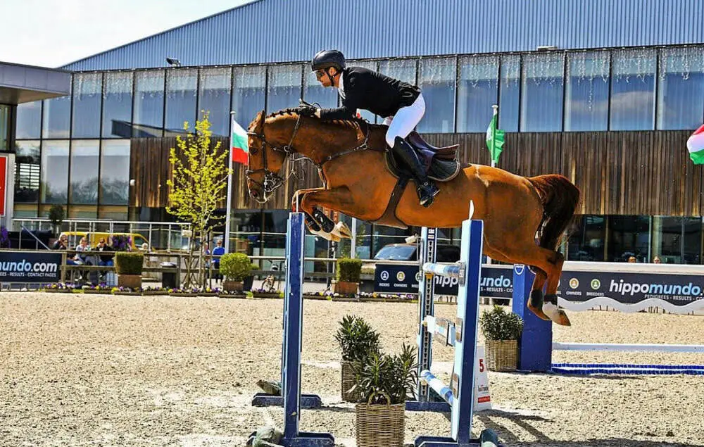 Image of the horse Katoti from LIMO Stables, rider Carl Walter Fox