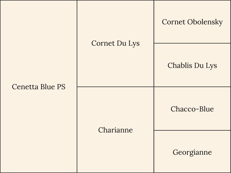 Pedigree of the horse Cenetta Blue PS from Holmén Showjumping