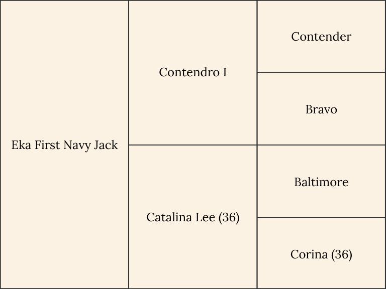 Pedigree of the horse Eka First Navy Jack from LIMO Stables