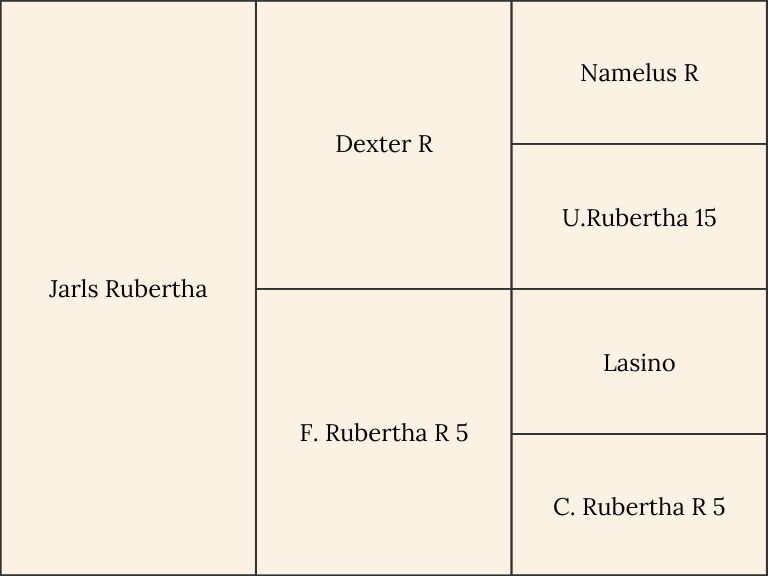 Pedigree of the horse Jarls Rubertha from Holmen Showjumping